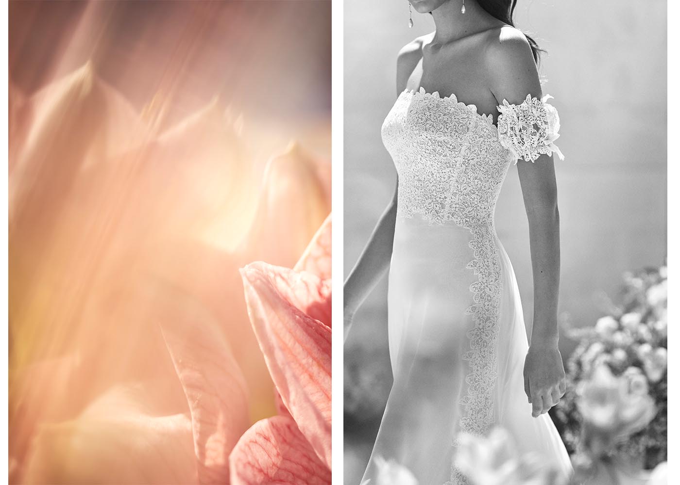 Ayala Studio Photoproduction