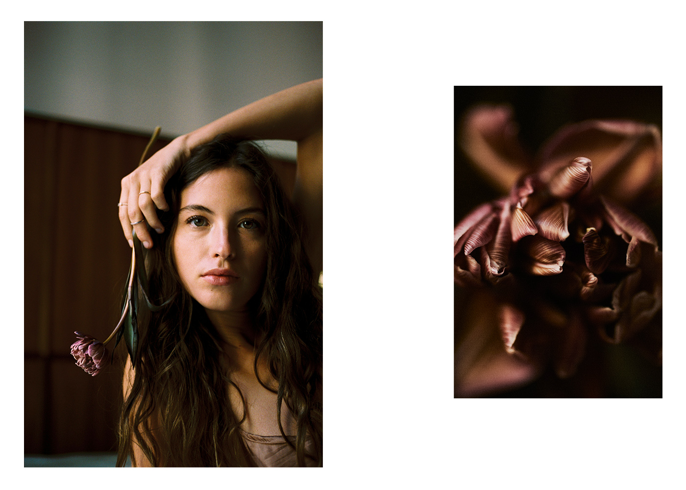 Ayala Studio Photoproduction